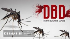 Waspada Demam Berdarah, Baca Biar Gak Jadi Korban!