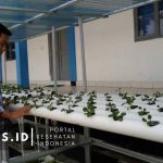 4 Catatan Penuhi Kebutuhan Gizi Ditengah Pandemi