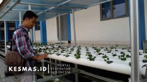 4 Catatan Penuhi Kebutuhan Gizi Ditengah Pandemi