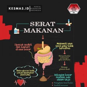Yuk Kenal Lebih Dekat Sama Serat Makanan
