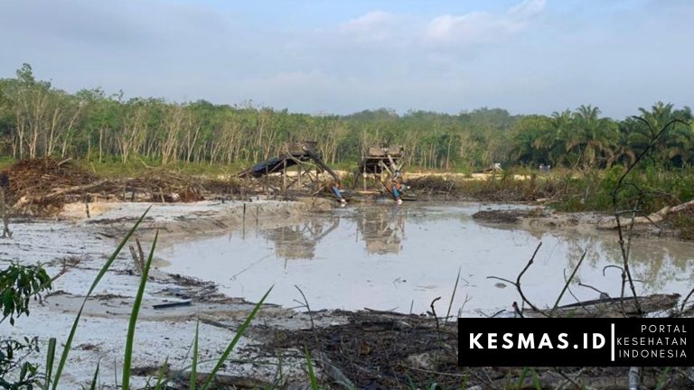 Bahaya Keracunan Penambangan Emas Illegal di Kuantan Singingi