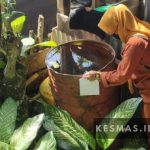 Kegiatan PE (Penyelidikan Epidemiologi) dan survei jentik di wilayah Desa Lenangguar
