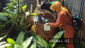 Kegiatan PE (Penyelidikan Epidemiologi) dan survei jentik di wilayah Desa Lenangguar
