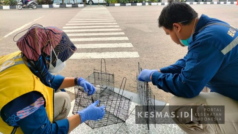 KKP Kelas II Bandung Lakukan Kegiatan Pengawasan Vektor dan BPP di Bandara Husein Sastranegara Bandung