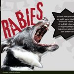 Rabies / Ajing Gila