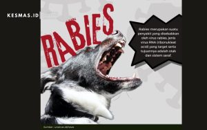 Rabies / Ajing Gila