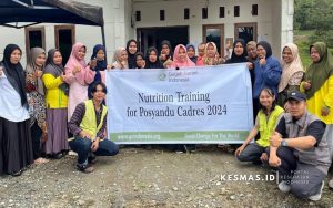 Transformasi Layanan Primer, Posyandu naik kelas, ini tantangan di Daerah