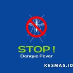 STOP DENGUE FEVER!