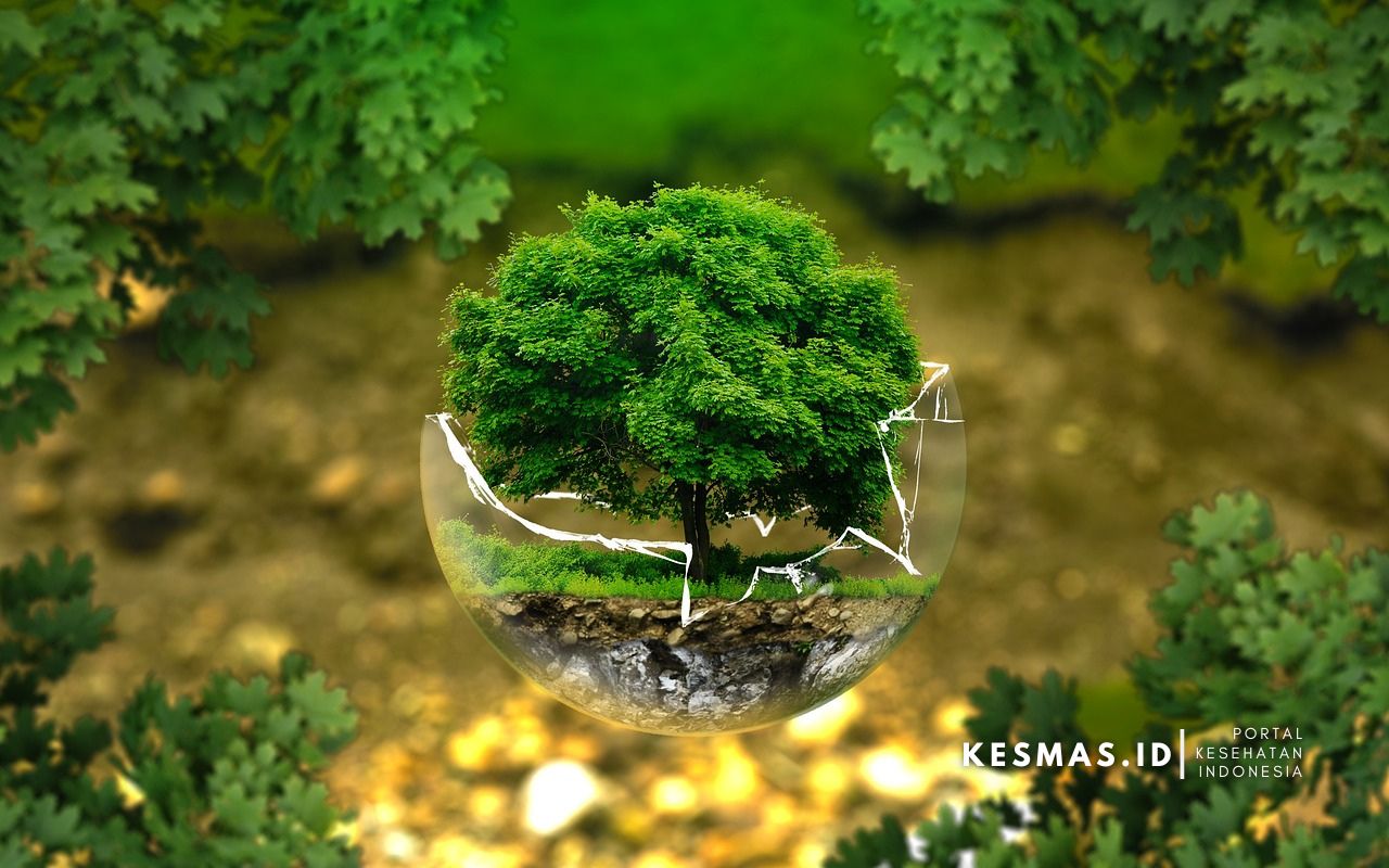 Kesehatan Lingkungan, Faktor Penting dalam Pencegahan Penyakit