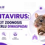 HANTAVIRUS: PENYAKIT ZOONOSIS YANG PERLU DIWASPADAI