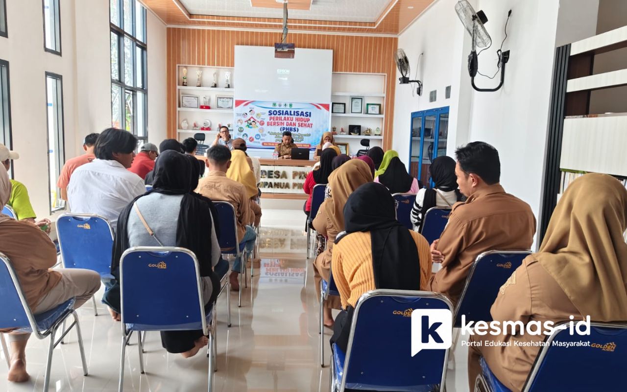 Dinkes Pinrang Ajak Warga Desa Pincara Budayakan GERMAS